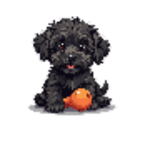 Adorable Maltipoo Pups